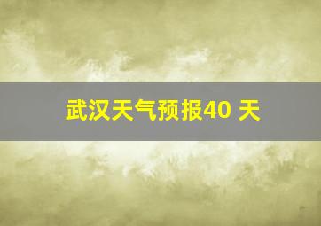 武汉天气预报40 天